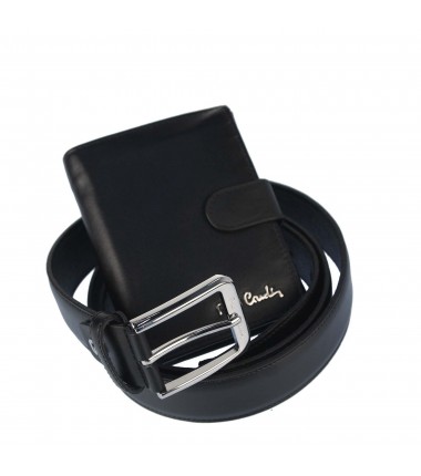 Gift set belt + wallet ZG-92 Pierre Cardin