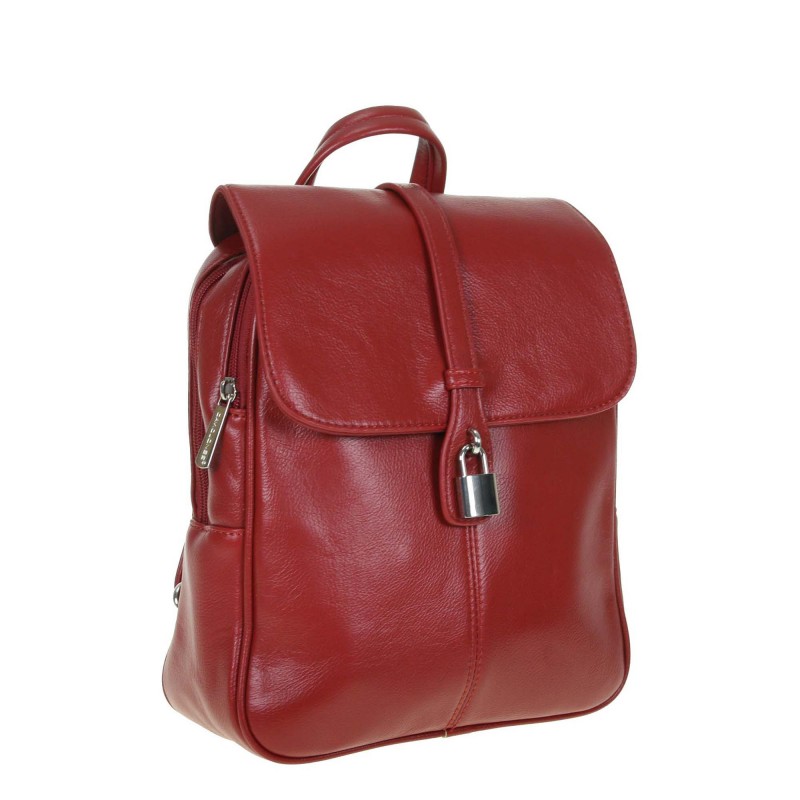 6800-2 David Jones backpack with a flap