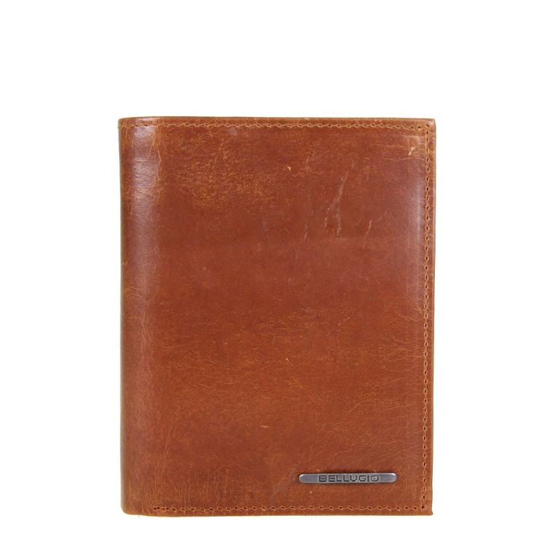 Men's wallet EM-109R-034 BELLUGIO