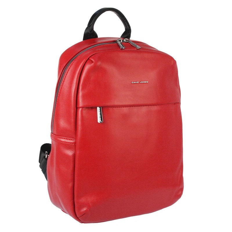 Comfortable city backpack 6748-2 23WL David Jones