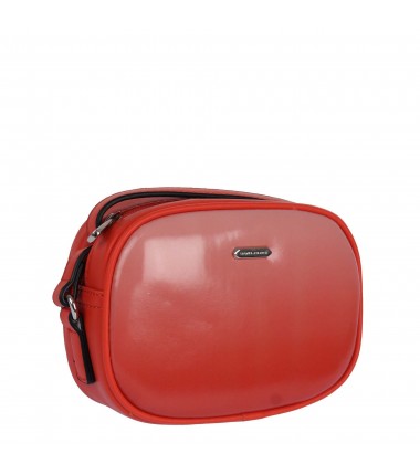 Handbag CM5722 David Jones two-color