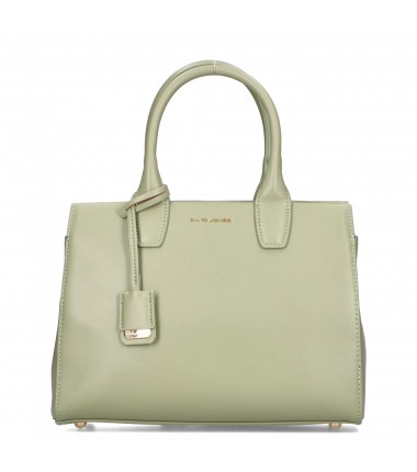 Elegant handbag CM7048 24WL David Jones