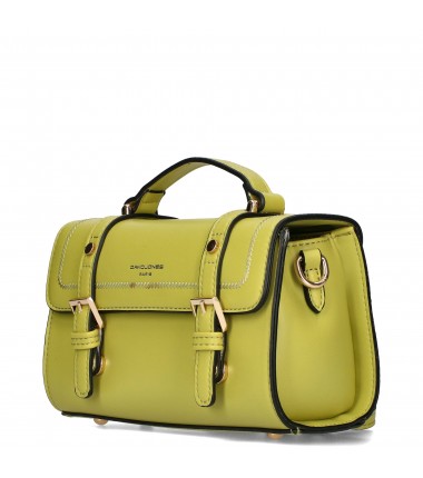 Handbag CM6950 24WL David Jones